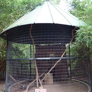 Baton Rouge Zoo - Salmon-Crested Cockatoo Corn-Crib Cage