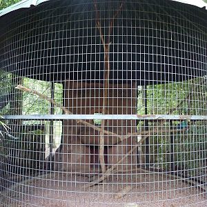 Baton Rouge Zoo - Blue + Yellow Macaw Corn-Crib Cage