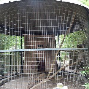 Baton Rouge Zoo - Green-Winged Macaw Corn-Crib Cage