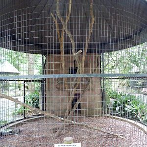 Baton Rouge Zoo - Hyacinth Macaw Corn-Crib Cage