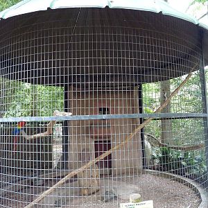 Baton Rouge Zoo - Scarlet Macaw Corn-Crib Cage