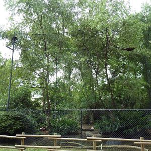 Baton Rouge Zoo - Aviary (5 Species)