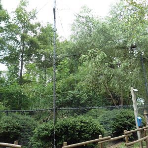 Baton Rouge Zoo - Aviary (5 Species)
