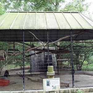 Baton Rouge Zoo - Sulawesi Macaque Cage