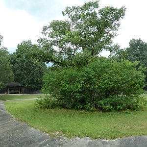 Baton Rouge Zoo - Roan Antelope/Nile Lechwe Exhibit