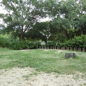 Baton Rouge Zoo - Galapagos + Aldabra Tortoise Exhibit