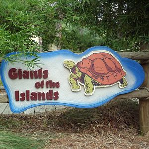 Baton Rouge Zoo - Galapagos + Aldabra Tortoise Exhibit