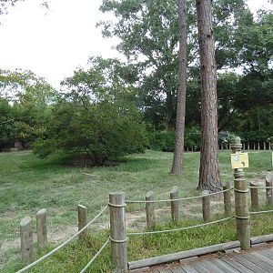 Baton Rouge Zoo - Galapagos + Aldabra Tortoise Exhibit