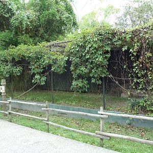 Baton Rouge Zoo - Rhinoceros Hornbill Exhibit