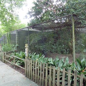 Baton Rouge Zoo - Assorted Exhibits