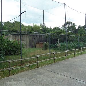 Baton Rouge Zoo - African Aviary (2 Species)
