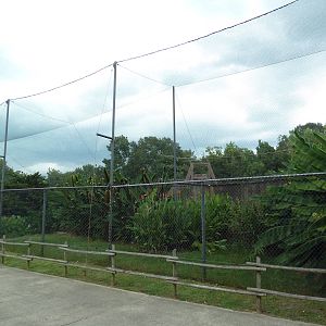 Baton Rouge Zoo - African Aviary (2 Species)