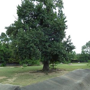 Baton Rouge Zoo - Nile Lechwe/Zebra/Ostrich Exhibit