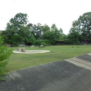 Baton Rouge Zoo - Nile Lechwe/Zebra/Ostrich Exhibit