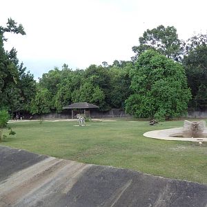 Baton Rouge Zoo - Nile Lechwe/Zebra/Ostrich Exhibit