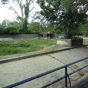 Baton Rouge Zoo - Black Rhino Exhibit