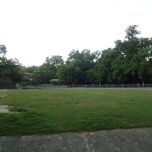 Baton Rouge Zoo - Reticulated Giraffe/Thomson's Gazelle Exhibit