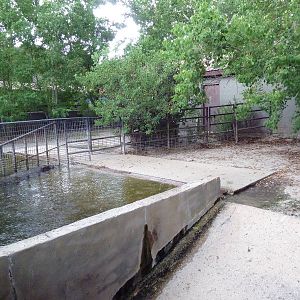 Baton Rouge Zoo - Pygmy Hippo Exhibit