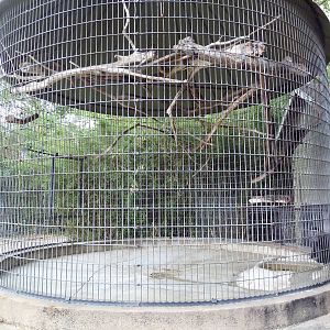 Baton Rouge Zoo - Blue Monkey Corn Crib Cage