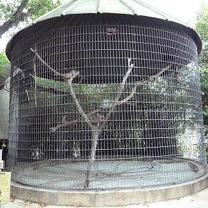 Baton Rouge Zoo - DeBrazza's Guenon Corn Crib Cage
