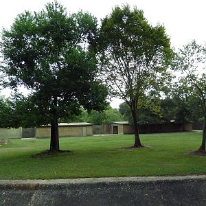 Baton Rouge Zoo - Hoofstock Exhibit (3 Species)