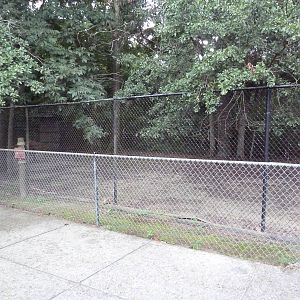 Baton Rouge Zoo - Wallaroo Exhibit