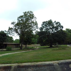 Baton Rouge Zoo - Impala/Bongo/Warthog Exhibit