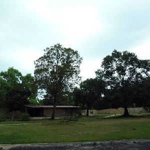 Baton Rouge Zoo - Impala/Bongo/Warthog Exhibit