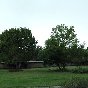 Baton Rouge Zoo - Sable Antelope Exhibit