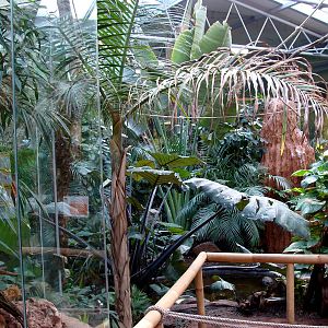 Zoo Wrocław - z pawilonu Madagaskar