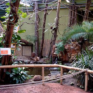 Zoo Wrocław - z pawilonu Madagaskar