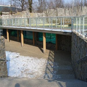 Zoo Wrocław - Basin of seal