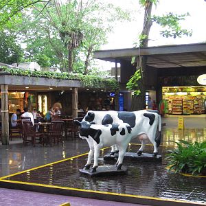 Singapore Zoo entrance plaza