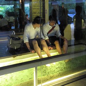 Singapore Zoo entrance plaza