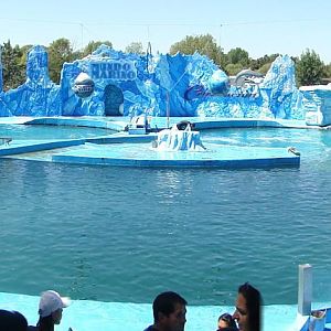 Orca and Dolphin Stadium