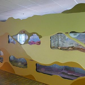 Discovery Center - Terrariums