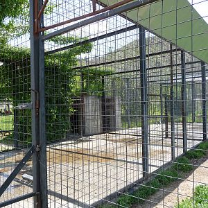 Grizzly Bear Exhibit - Holding Area