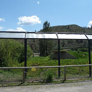 Grizzly Bear Exhibit