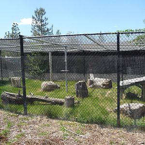 Empty Exhibit -Nursery Area