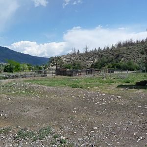 Moose/Mule Deer Exhibit