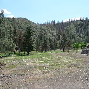 Moose/Mule Deer Exhibit