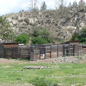 Moose/Mule Deer Exhibit - Holding Area