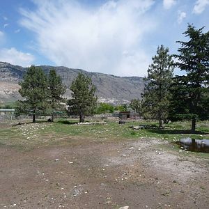 Moose/Mule Deer Exhibit
