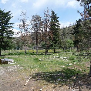 Moose/Mule Deer Exhibit