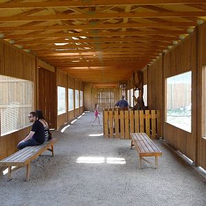 Birds Of Prey - Visitor Area