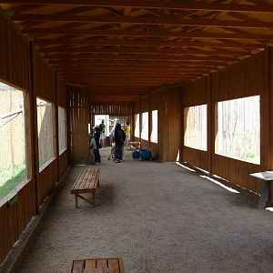 Birds Of Prey - Visitor Area