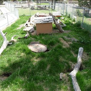 Prairie Dog Exhibit