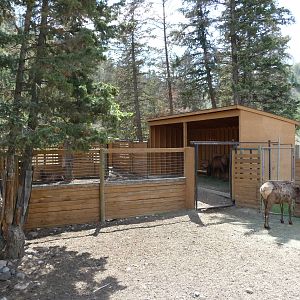 Elk Exhibit - Barn