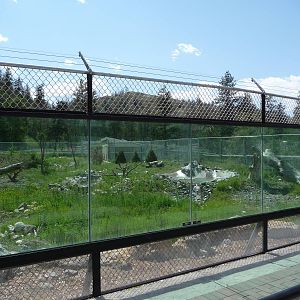Black Bear Exhibit