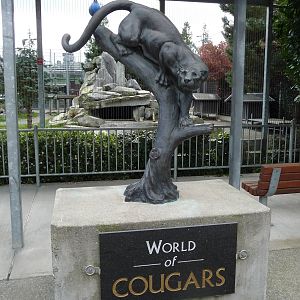 Cougar Statue